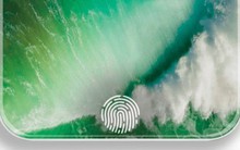 iPhone 2020 bản cao cấp sẽ có Touch ID dưới màn hình, bản giá rẻ sẽ có Touch ID dưới nút Home