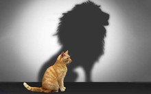 Nhân viên xuất sắc được thăng chức lên Quản lý: Hãy cẩn trọng, có thể công ty bạn vừa mất một nhân viên giỏi và có thêm một vị sếp tồi!