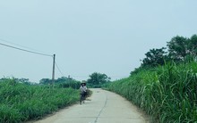 Làng 'vàng trắng' tỷ phú ven sông Hồng, 1 năm chia nhau 400 tỷ