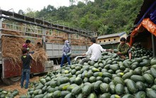 Vì sao xuất khẩu của Việt Nam sang Trung Quốc ngày càng giảm?