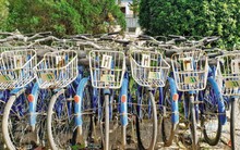 Ngoài xe buýt, đường sắt đô thị, Hà Nội sắp có cả xe đạp công cộng