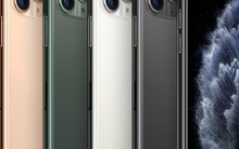 Nhà bán lẻ "rục rịch" cho khách hàng đặt hàng iPhone 11