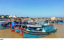 Nhiều chủ tàu cá ở Nam Trung bộ bị ngân hàng kiện đòi nợ