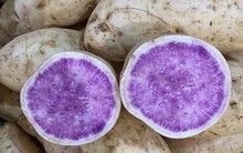 Bất ngờ củ khoai lang ruột màu tím lịm giá đắt gấp 20 lần