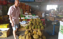 Nông sản đi Trung Quốc: Từ vườn đến biên giới - Đường dài khổ ải