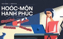 Chán nản - mất động lực trong công việc? Hãy tìm đến bốn hoóc-môn hạnh phúc của con người