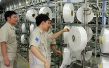 Dự án xơ sợi PVTex lỗ luỹ kế hơn 4.700 tỷ