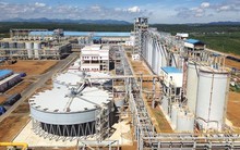 Từ lỗ nặng liên tục, Bô xít Tây Nguyên bất ngờ lãi trăm tỷ