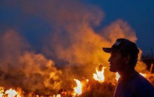 Rừng Amazon vẫn đang cháy với tốc độ tương đương 110 sân bóng mỗi giờ