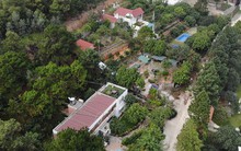 Vụ "xẻ thịt" đất rừng Sóc Sơn: Rà soát việc chồng lấn để xử lý