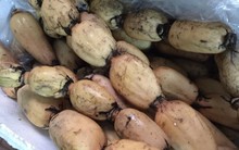 Loại củ Hàn Quốc quý như nhân sâm, Việt Nam lăn lóc bán đầy chợ