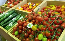 Trung Quốc hoàn tất thủ tục mua bán hàng nông sản có "quy mô tương đối" với Mỹ