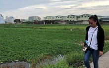 Vạch mặt nhiều công ty bán dự án "ma" như Alibaba