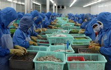 Trung Quốc tắc, EU khó... sức mạnh tỷ USD Việt Nam lao dốc