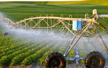 Mỗi ngày trung bình có gần 380 doanh nghiệp thành lập mới