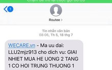 Tội phạm ngân hàng: Mạo danh Western Union lừa đảo nhà bán hàng online