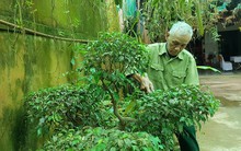 “Già hóa” dân số của Việt Nam nhanh nhất thế giới