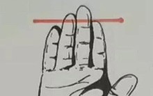 Ai sở hữu tướng tay này, bất kể đàn ông hay phụ nữ đều một đời hưởng vinh hoa phú quý, đại phúc đại quý, vượng phu vương thê