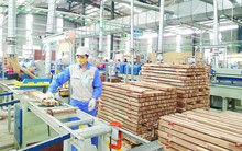 Tăng thần tốc, cảnh báo cho thế mạnh 11 tỷ USD Việt Nam