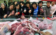 Lợn đột biến khổng lồ 700kg, giải cứu khủng hoảng Trung Quốc