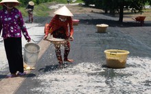 Niềm vui trúng mùa ruốc không trọn vẹn