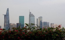 TP.HCM có thể thu ngân sách vượt chỉ tiêu năm 2019, đạt mức cao nhất từ trước đến nay