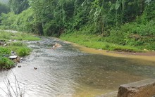 Dân Hà Nội khốn khổ vì nước có mùi lạ: Do chất thải từ đầu nguồn nước sông Đà?