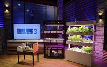 "Đốt" 14 tỷ cho R&D trong 3 năm mà vẫn ra về tay trắng trên Shark Tank, người trong ngành chỉ ra 2 cái sai và 4 bài toán T-Farm cũng như các startup nông nghiệp cần giải nếu muốn thắng trong lĩnh vực này