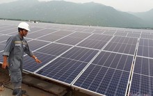 Bất ngờ thay đổi, tưởng ngon ăn ngờ đâu nguy cơ phá sản