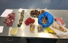 Mang thịt lợn nhập cảnh Úc, một người Việt bị trục xuất