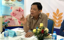 Không được xuất khẩu lợn sang Trung Quốc