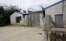 Trại lợn nghìn con "trên đầu" Nhà máy nước sông Đà xả thải đi đâu?