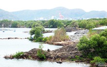 Thu hồi quyết định giao đất dự án nghìn tỷ ở đầm Thị Nại