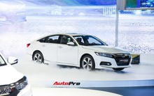 Cách tính giá lăn bánh loạt xe mới vừa ra mắt tại Việt Nam: Toàn xe tiền tỷ