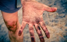 Hai câu chuyện gửi gắm bài học về tinh thần trách nhiệm và sự phán xét cho những người trẻ mới bước chân vào đời