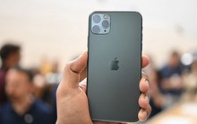 Người Việt đặt cọc mua iPhone 11: Quá nửa thuộc về iPhone 11 Pro Max