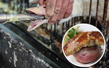 Món gan ngỗng "nhà giàu" xa xỉ chính thức bị cấm bán ở New York vì có hình thức nuôi nhốt quá tàn nhẫn