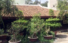 Nỗi trăn trở của người đàn bà trong căn nhà toàn gỗ quý ở Bình Dương