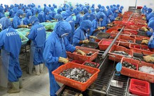 Suy giảm 1 tỷ USD, lời giải thích về bước lùi khó chống đỡ