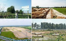 Toàn cảnh khu đất gần 200 ha chuyển nhượng trái quy định ở Bình Dương