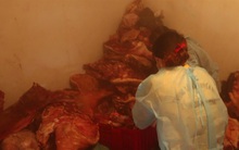 Hơn 1,5 tấn thịt dính tả lợn Châu Phi giấu trong kho lạnh