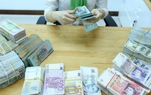 Chính phủ giải thích về 4 năm liên tục xuất siêu, 2020 dự kiến nhập siêu