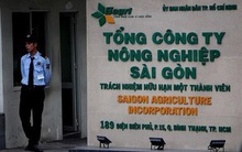 Thanh tra lại phát hiện hàng loạt sai phạm trong sử dụng đất công của Sagri