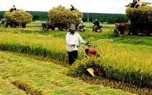 Dư nợ cho vay chuỗi liên kết: Mới chỉ dừng ở mức 7.000 tỷ đồng