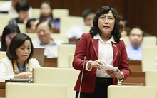 Đề xuất cán bộ hành pháp, tư pháp không làm đại biểu Quốc hội