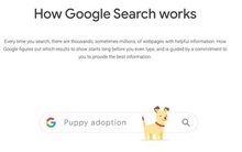 Google thao túng kết quả tìm kiếm, ẩn các chủ đề gây tranh cãi, ưu tiên các công ty lớn