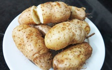 Loại củ trông xù xì xấu mã nhưng càng ăn càng đốt mỡ bụng cực tốt vào mùa lạnh và còn là thuốc quý trong Đông y