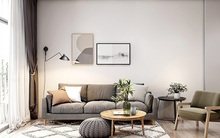 Căn hộ 30m2 có nội thất đơn giản nhưng vô cùng sang trọng