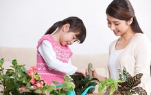 Để tạo nên một đứa trẻ có tính cách tự lập, đây là 4 phương pháp cha mẹ dễ dàng áp dụng