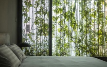 Nhà trong hẻm ở Sài Gòn tuyệt đẹp, ngập tràn ánh sáng